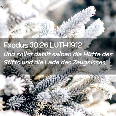Picture 02 - Exodus 30:26 LUTH1912 - Und sollst damit salben die Hütte des Stifts und - Bible Verse Picture