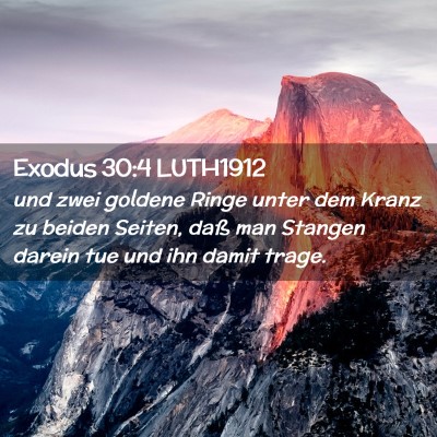 Picture 02 - Exodus 30:4 LUTH1912 - und zwei goldene Ringe unter dem Kranz zu beiden - Bible Verse Picture