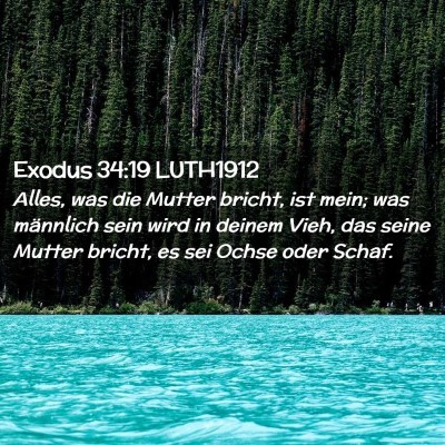 Picture 02 - Exodus 34:19 LUTH1912 - Alles, was die Mutter bricht, ist mein; was - Bible Verse Picture