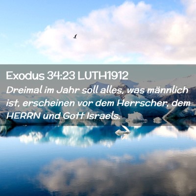 Picture 02 - Exodus 34:23 LUTH1912 - Dreimal im Jahr soll alles, was männlich ist, - Bible Verse Picture