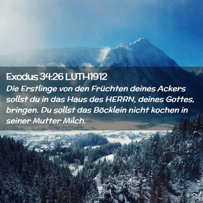 Picture 02 - Exodus 34:26 LUTH1912 - Die Erstlinge von den Früchten deines Ackers - Bible Verse Picture