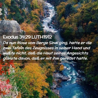 Picture 02 - Exodus 34:29 LUTH1912 - Da nun Mose vom Berge Sinai ging, hatte er die - Bible Verse Picture