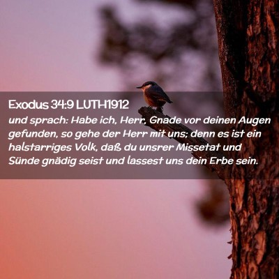 Picture 02 - Exodus 34:9 LUTH1912 - und sprach: Habe ich, Herr, Gnade vor deinen - Bible Verse Picture
