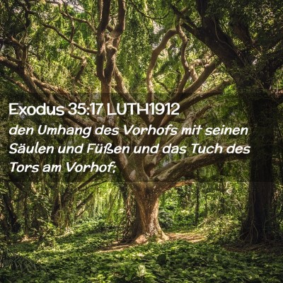 Picture 02 - Exodus 35:17 LUTH1912 - den Umhang des Vorhofs mit seinen Säulen und - Bible Verse Picture