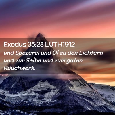 Picture 02 - Exodus 35:28 LUTH1912 - und Spezerei und Öl zu den Lichtern und zur - Bible Verse Picture