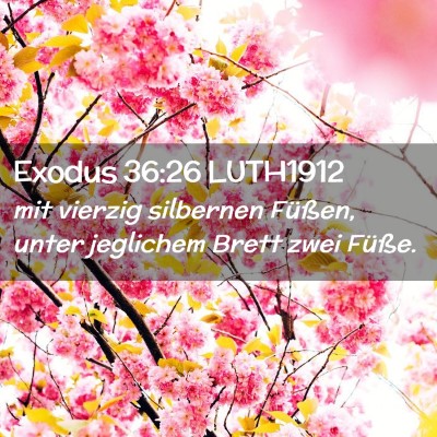 Picture 02 - Exodus 36:26 LUTH1912 - mit vierzig silbernen Füßen, unter jeglichem - Bible Verse Picture