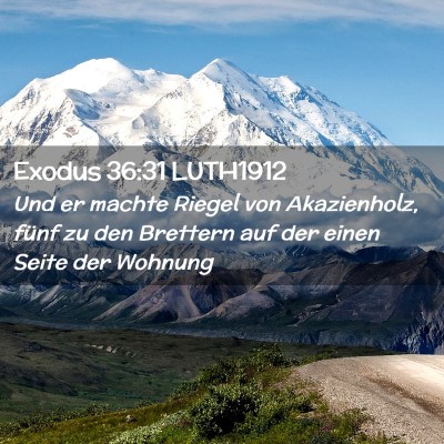 Picture 02 - Exodus 36:31 LUTH1912 - Und er machte Riegel von Akazienholz, fünf zu - Bible Verse Picture