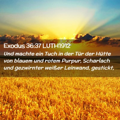 Picture 02 - Exodus 36:37 LUTH1912 - Und machte ein Tuch in der Tür der Hütte von - Bible Verse Picture