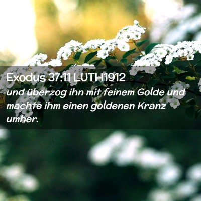 Picture 02 - Exodus 37:11 LUTH1912 - und überzog ihn mit feinem Golde und machte ihm - Bible Verse Picture