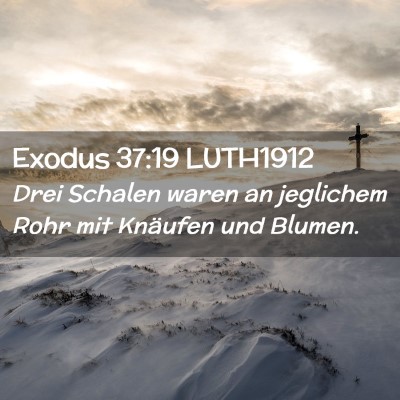 Picture 02 - Exodus 37:19 LUTH1912 - Drei Schalen waren an jeglichem Rohr mit Knäufen - Bible Verse Picture