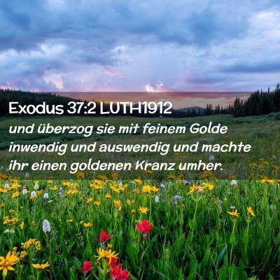 Picture 02 - Exodus 37:2 LUTH1912 - und überzog sie mit feinem Golde inwendig und - Bible Verse Picture