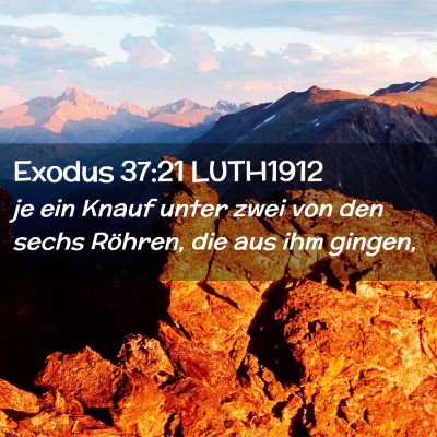 Picture 02 - Exodus 37:21 LUTH1912 - je ein Knauf unter zwei von den sechs Röhren, - Bible Verse Picture