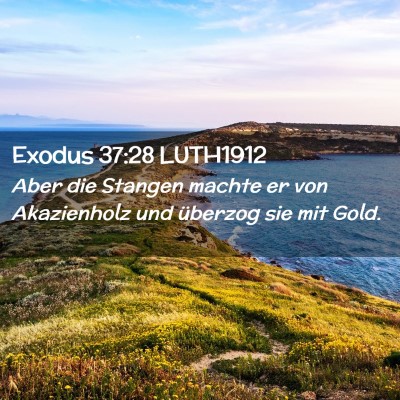 Picture 02 - Exodus 37:28 LUTH1912 - Aber die Stangen machte er von Akazienholz und - Bible Verse Picture