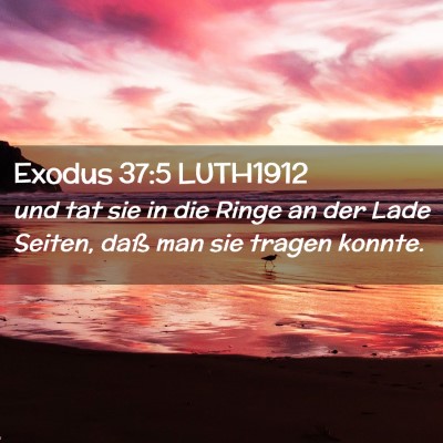 Picture 02 - Exodus 37:5 LUTH1912 - und tat sie in die Ringe an der Lade Seiten, daß - Bible Verse Picture