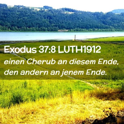 Picture 02 - Exodus 37:8 LUTH1912 - einen Cherub an diesem Ende, den andern an jenem - Bible Verse Picture