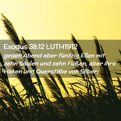 Picture 02 - Exodus 38:12 LUTH1912 - gegen Abend aber fünfzig Ellen mit zehn Säulen - Bible Verse Picture