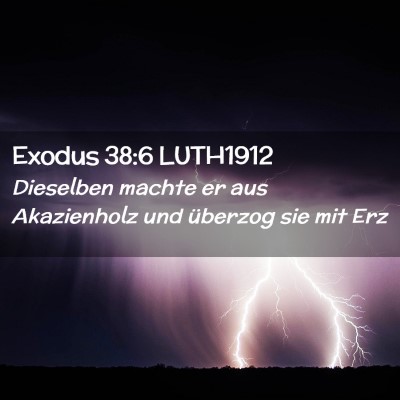 Picture 02 - Exodus 38:6 LUTH1912 - Dieselben machte er aus Akazienholz und überzog - Bible Verse Picture