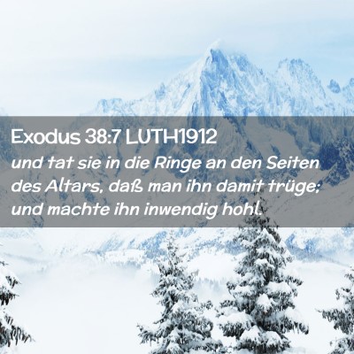 Picture 02 - Exodus 38:7 LUTH1912 - und tat sie in die Ringe an den Seiten des - Bible Verse Picture