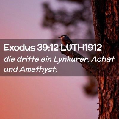 Picture 02 - Exodus 39:12 LUTH1912 - die dritte ein Lynkurer, Achat und - Bible Verse Picture
