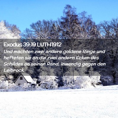 Picture 02 - Exodus 39:19 LUTH1912 - Und machten zwei andere goldene Ringe und - Bible Verse Picture