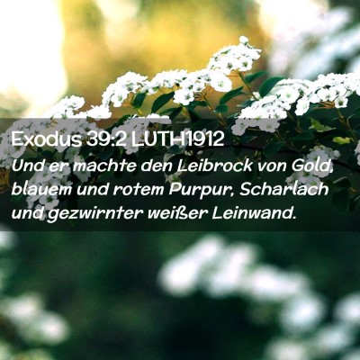 Picture 02 - Exodus 39:2 LUTH1912 - Und er machte den Leibrock von Gold, blauem und - Bible Verse Picture