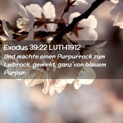 Picture 02 - Exodus 39:22 LUTH1912 - Und machte einen Purpurrock zum Leibrock, - Bible Verse Picture