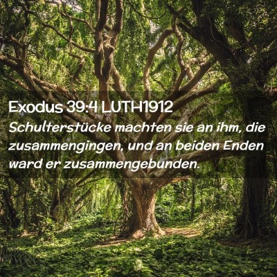 Picture 02 - Exodus 39:4 LUTH1912 - Schulterstücke machten sie an ihm, die - Bible Verse Picture