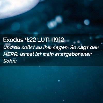 Picture 02 - Exodus 4:22 LUTH1912 - Und du sollst zu ihm sagen: So sagt der HERR: - Bible Verse Picture