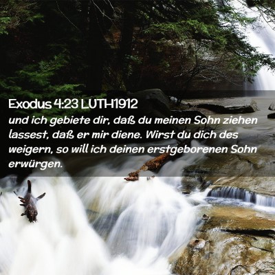 Picture 02 - Exodus 4:23 LUTH1912 - und ich gebiete dir, daß du meinen Sohn ziehen - Bible Verse Picture