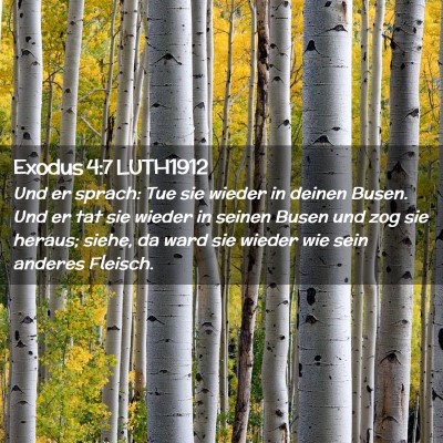 Picture 02 - Exodus 4:7 LUTH1912 - Und er sprach: Tue sie wieder in deinen Busen. - Bible Verse Picture