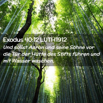 Picture 02 - Exodus 40:12 LUTH1912 - Und sollst Aaron und seine Söhne vor die Tür - Bible Verse Picture