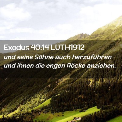 Picture 02 - Exodus 40:14 LUTH1912 - und seine Söhne auch herzuführen und ihnen die - Bible Verse Picture