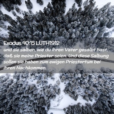 Picture 02 - Exodus 40:15 LUTH1912 - und sie salben, wie du ihren Vater gesalbt hast, - Bible Verse Picture