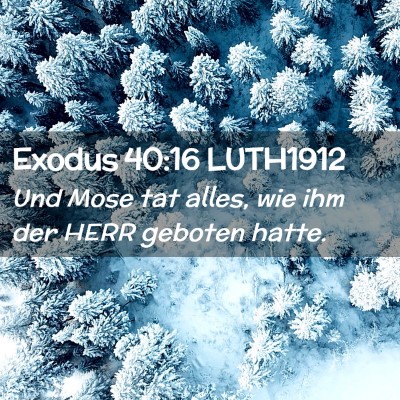 Picture 02 - Exodus 40:16 LUTH1912 - Und Mose tat alles, wie ihm der HERR geboten - Bible Verse Picture