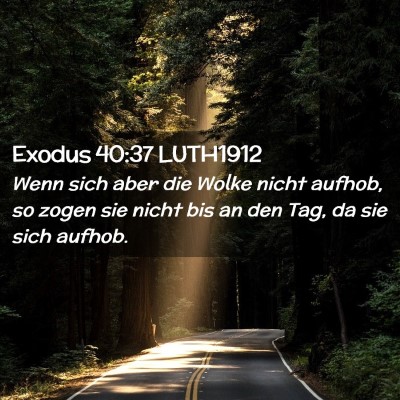 Picture 02 - Exodus 40:37 LUTH1912 - Wenn sich aber die Wolke nicht aufhob, so zogen - Bible Verse Picture
