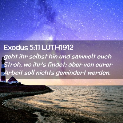 Picture 02 - Exodus 5:11 LUTH1912 - geht ihr selbst hin und sammelt euch Stroh, wo - Bible Verse Picture