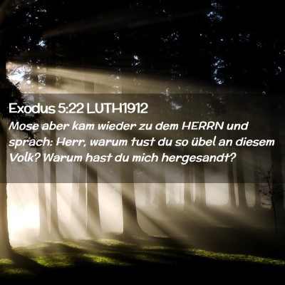 Picture 02 - Exodus 5:22 LUTH1912 - Mose aber kam wieder zu dem HERRN und sprach: - Bible Verse Picture