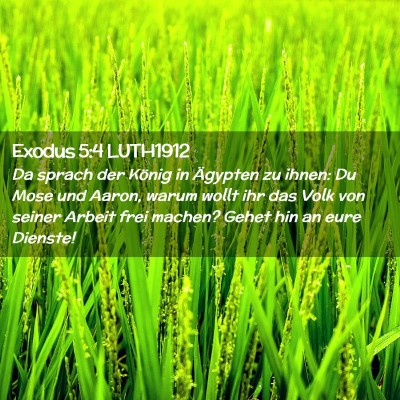 Picture 02 - Exodus 5:4 LUTH1912 - Da sprach der König in Ägypten zu ihnen: Du - Bible Verse Picture