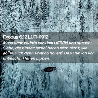 Picture 02 - Exodus 6:12 LUTH1912 - Mose aber redete vor dem HERRN und sprach: Siehe, - Bible Verse Picture