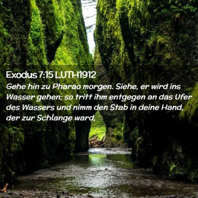 Picture 02 - Exodus 7:15 LUTH1912 - Gehe hin zu Pharao morgen. Siehe, er wird ins - Bible Verse Picture