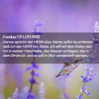 Picture 02 - Exodus 7:17 LUTH1912 - Darum spricht der HERR also: Daran sollst du - Bible Verse Picture