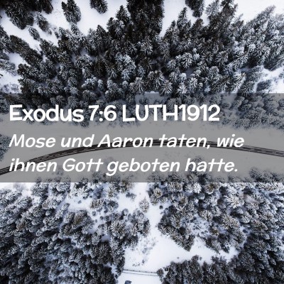 Picture 02 - Exodus 7:6 LUTH1912 - Mose und Aaron taten, wie ihnen Gott geboten - Bible Verse Picture