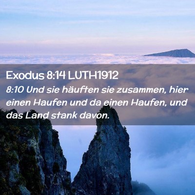 Picture 02 - Exodus 8:14 LUTH1912 - 8:10 Und sie häuften sie zusammen, hier einen - Bible Verse Picture