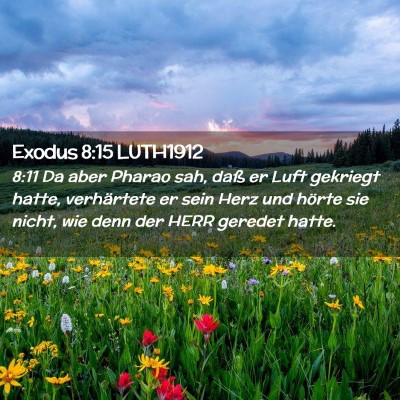 Picture 02 - Exodus 8:15 LUTH1912 - 8:11 Da aber Pharao sah, daß er Luft gekriegt - Bible Verse Picture