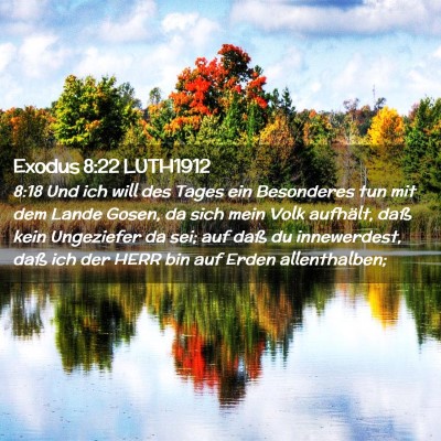 Picture 02 - Exodus 8:22 LUTH1912 - 8:18 Und ich will des Tages ein Besonderes tun - Bible Verse Picture