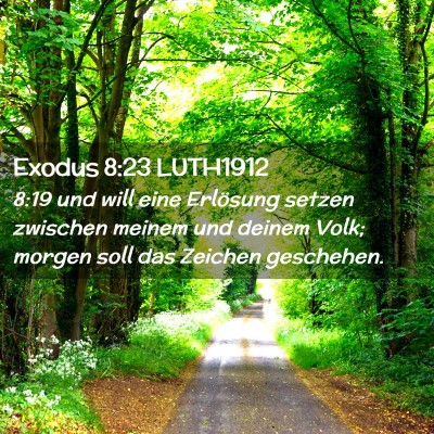 Picture 02 - Exodus 8:23 LUTH1912 - 8:19 und will eine Erlösung setzen zwischen - Bible Verse Picture