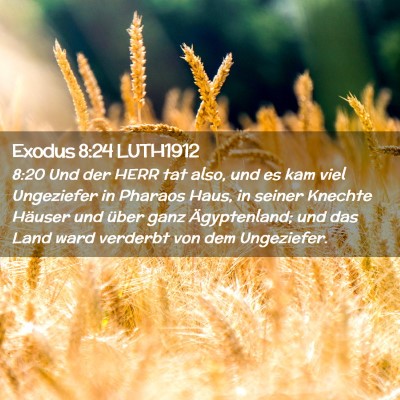 Picture 02 - Exodus 8:24 LUTH1912 - 8:20 Und der HERR tat also, und es kam viel - Bible Verse Picture