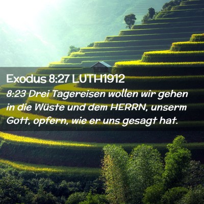 Picture 02 - Exodus 8:27 LUTH1912 - 8:23 Drei Tagereisen wollen wir gehen in die - Bible Verse Picture