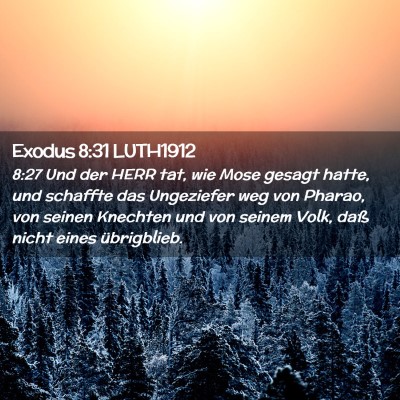 Picture 02 - Exodus 8:31 LUTH1912 - 8:27 Und der HERR tat, wie Mose gesagt hatte, und - Bible Verse Picture