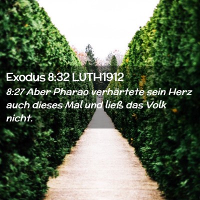 Picture 02 - Exodus 8:32 LUTH1912 - 8:27 Aber Pharao verhärtete sein Herz auch - Bible Verse Picture